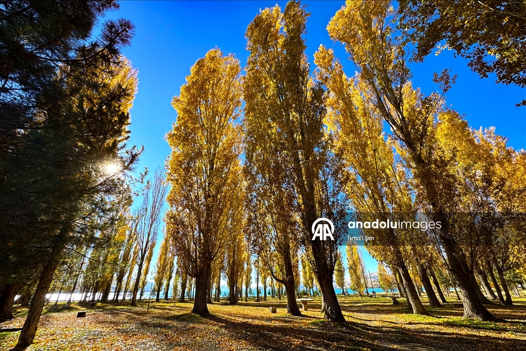 Осень раскрасила в яркие цвета окрестности озера Хазар