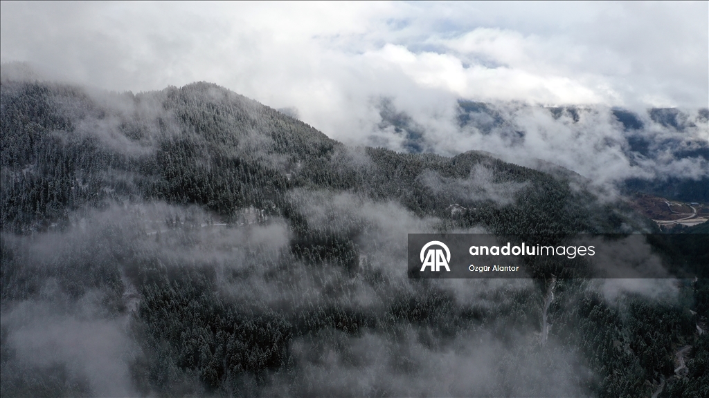 Snowfall and dense fog shroud Mount Ilgaz
