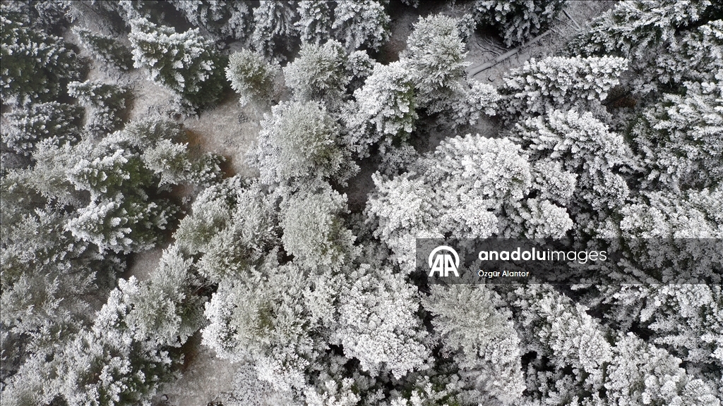 Snowfall and dense fog shroud Mount Ilgaz