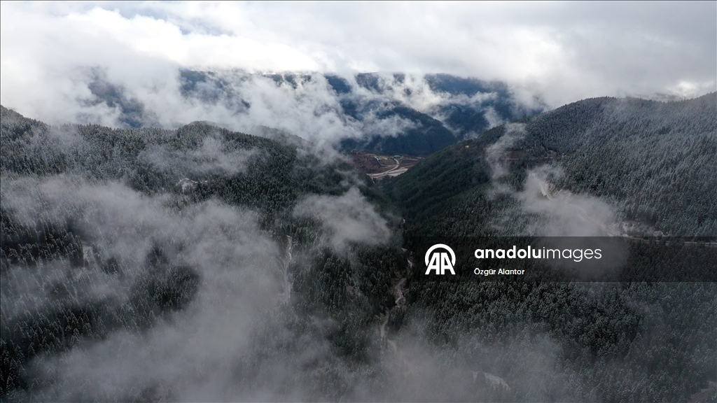 Snowfall and dense fog shroud Mount Ilgaz