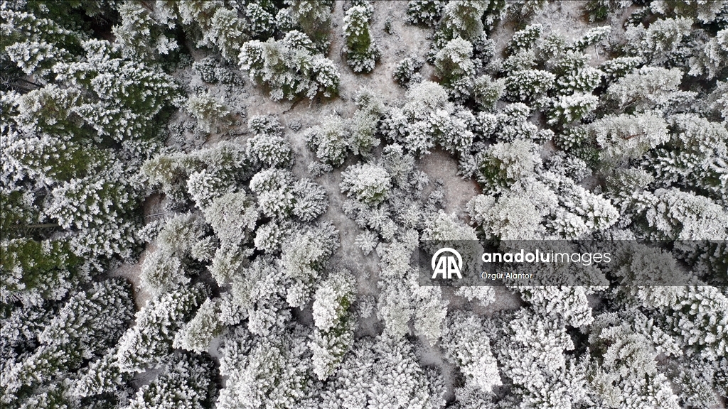 Snowfall and dense fog shroud Mount Ilgaz