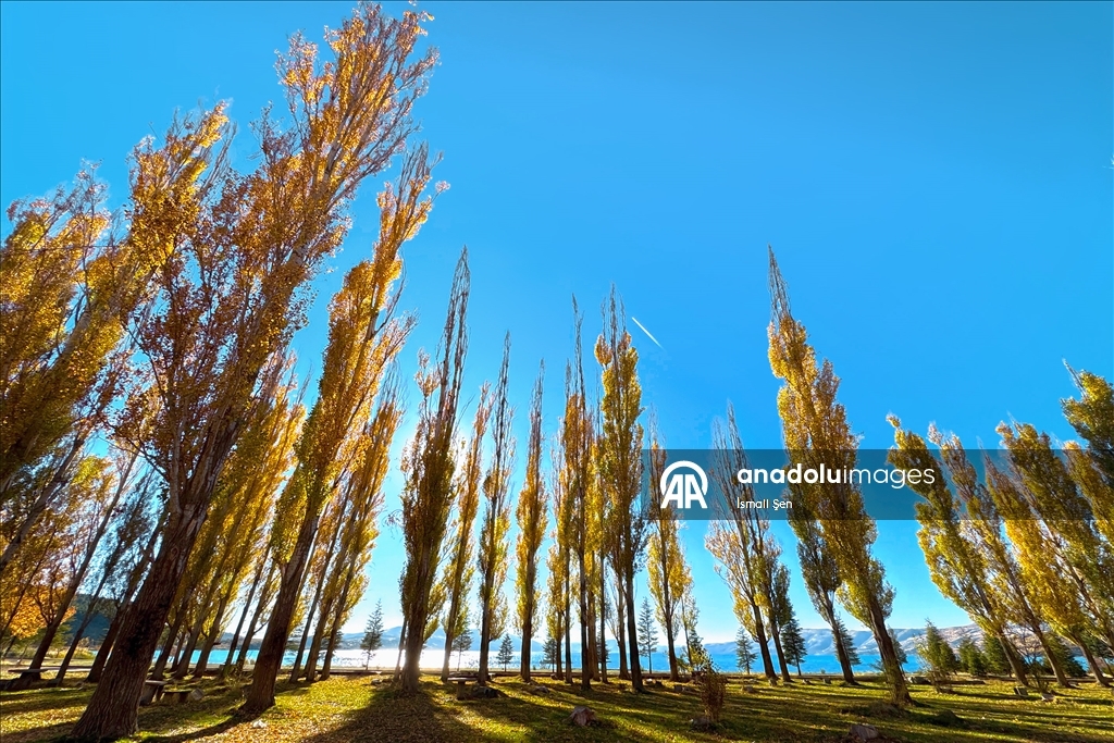 Осень раскрасила в яркие цвета окрестности озера Хазар