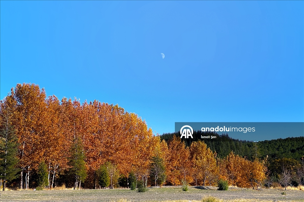 Осень раскрасила в яркие цвета окрестности озера Хазар