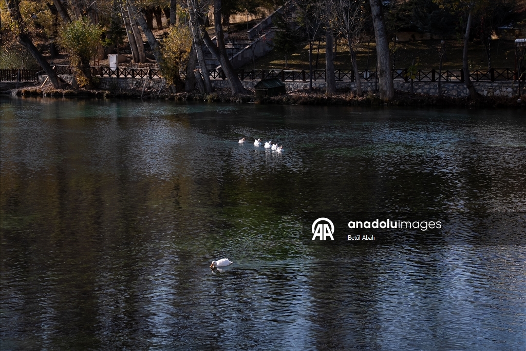 Bihuşta veşartî ya Anadoluyê: Gola Gokpinarê