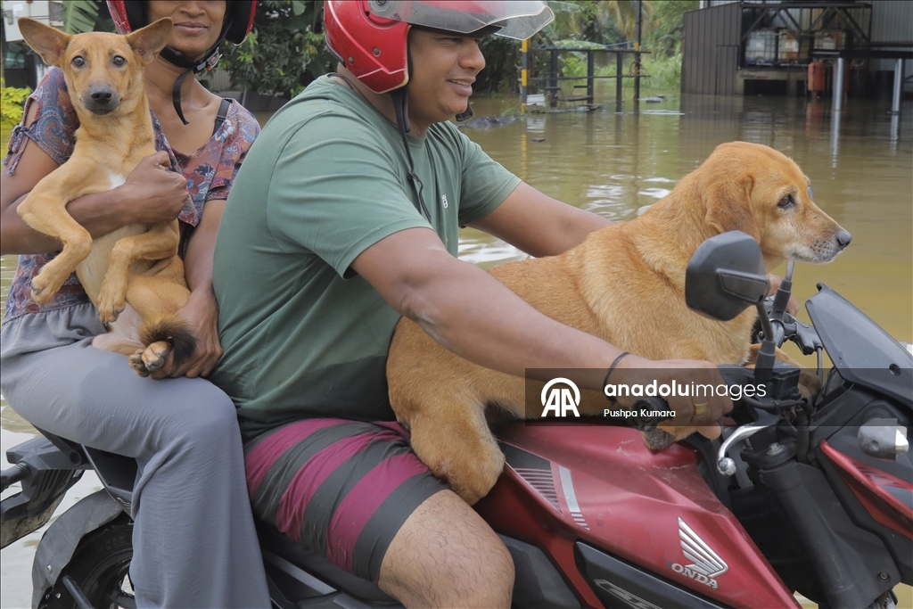 Sri Lanka’da yaşanan Siklon Ditwah’ın ardından arama kurtarma çalışmaları sürüyor