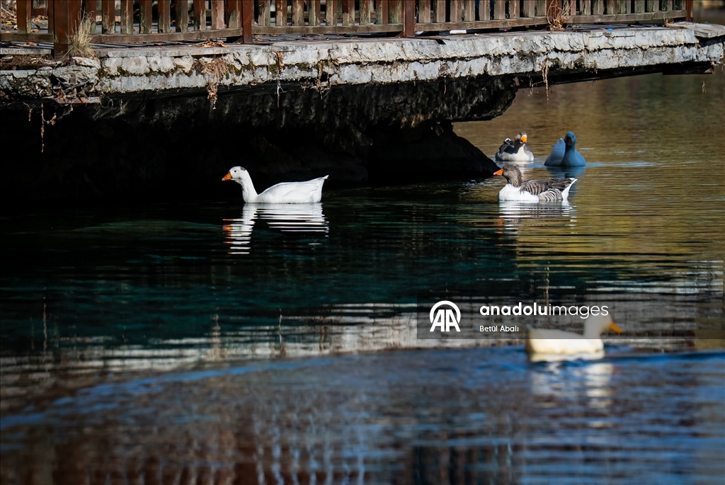 Anadolu’nun saklı cenneti Gökpınar Gölü 7