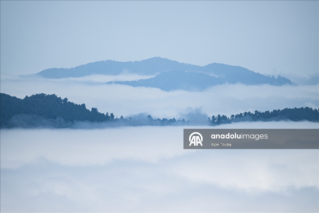 Macahel Yaylası göçmen kuşlara ev sahipliği yapıyor