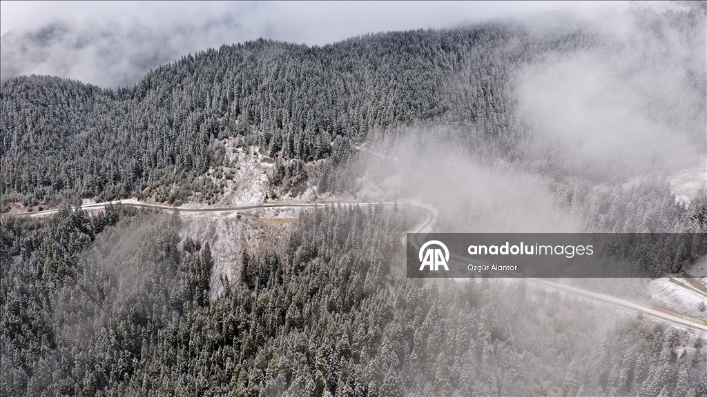 Snowfall and dense fog shroud Mount Ilgaz