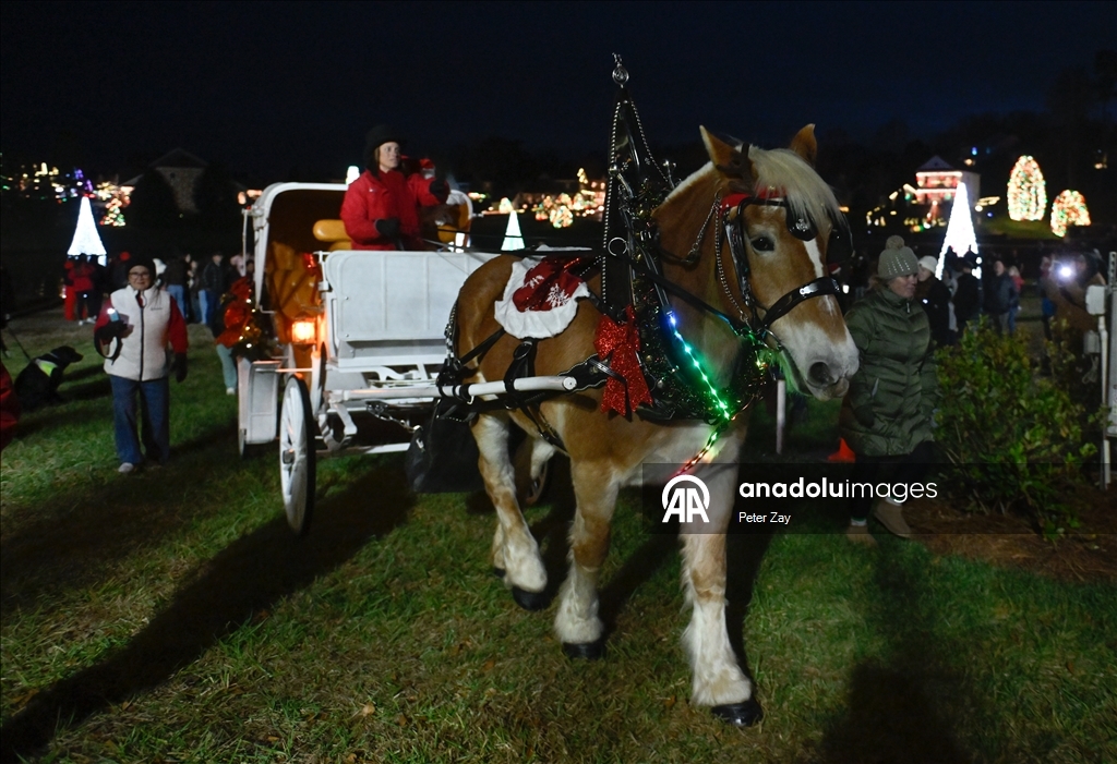 Макаденвилл - рождественский городок в США
