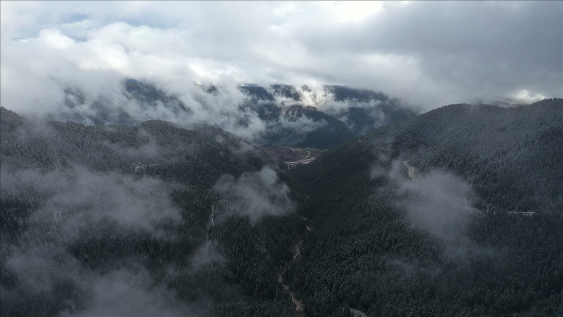 Snowfall and dense fog shroud Mount Ilgaz