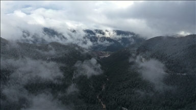 Snowfall and dense fog shroud Mount Ilgaz