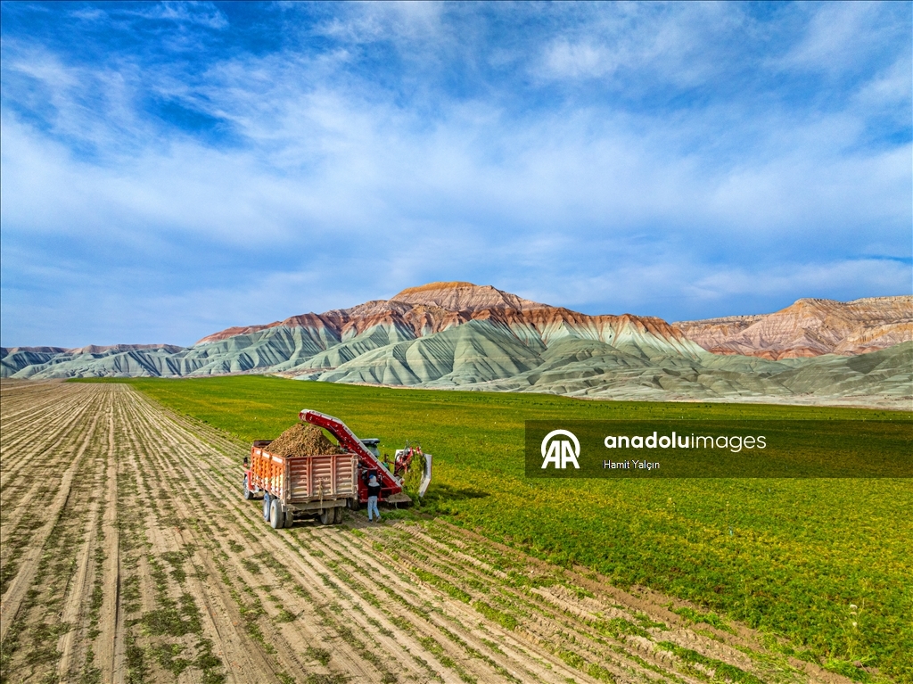 Li Nallihanê rakirina gizêran