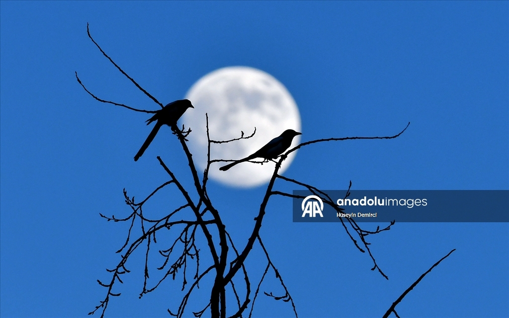 Full moon rises over Kars, Turkiye