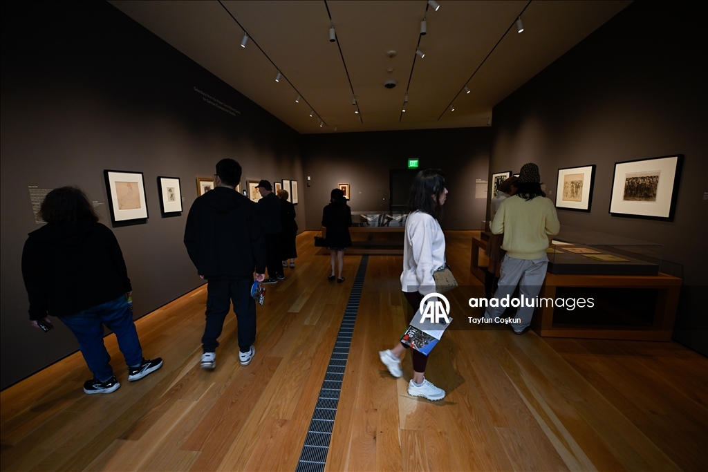 A high-profile art gallery, Los Angeles County Museum of Art