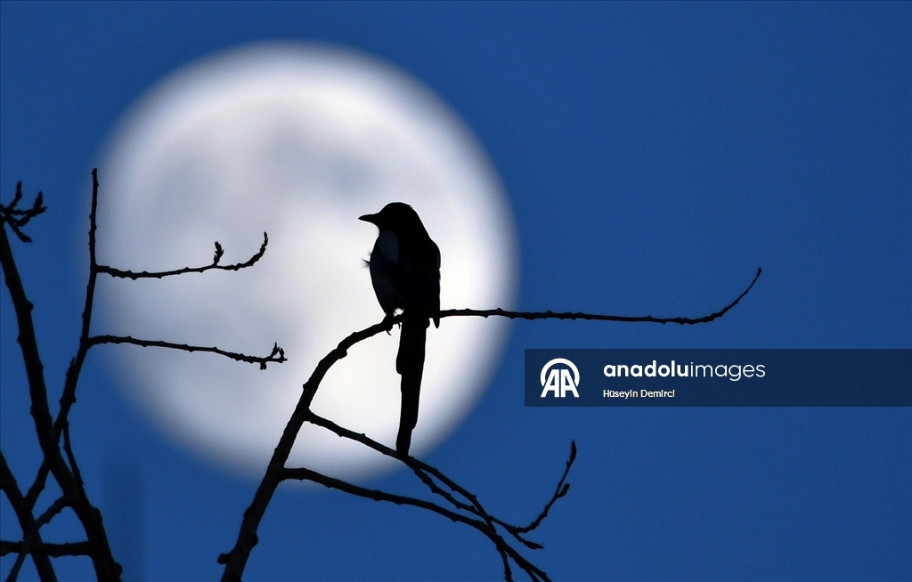 Full moon rises over Kars, Turkiye