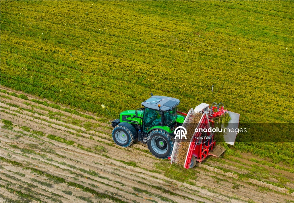 Li Nallihanê rakirina gizêran