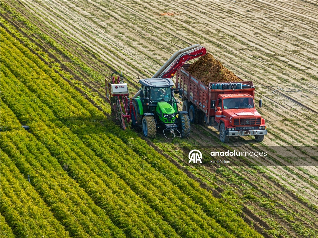 Li Nallihanê rakirina gizêran