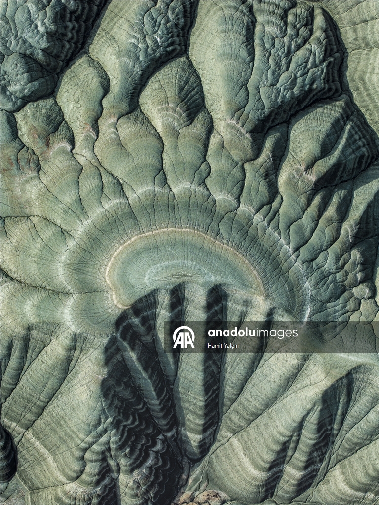 Li Nallihanê rakirina gizêran