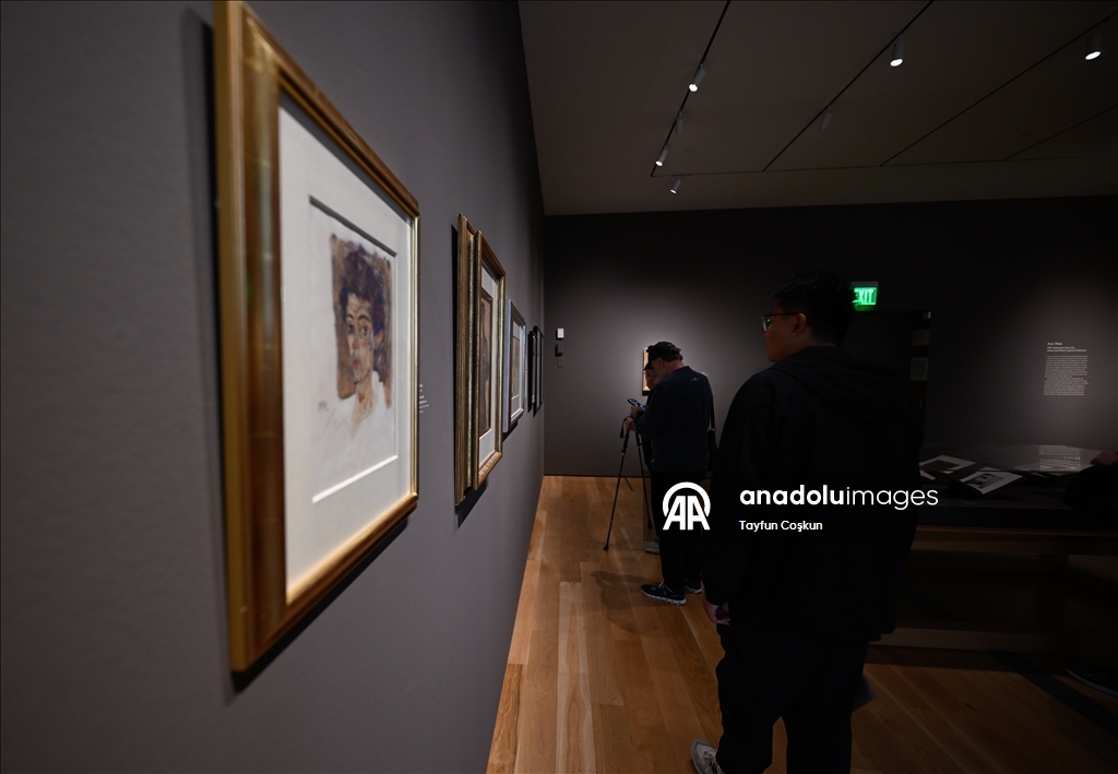 A high-profile art gallery, Los Angeles County Museum of Art