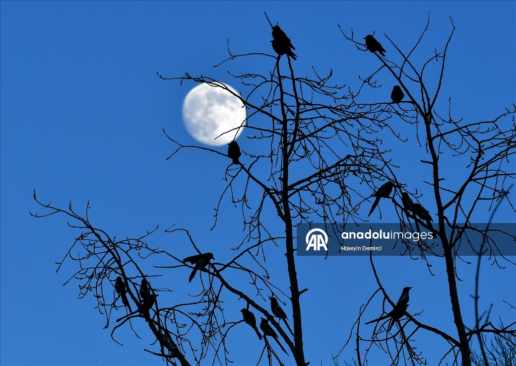 Full moon rises over Kars, Turkiye