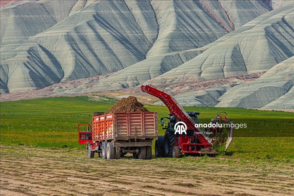 Li Nallihanê rakirina gizêran