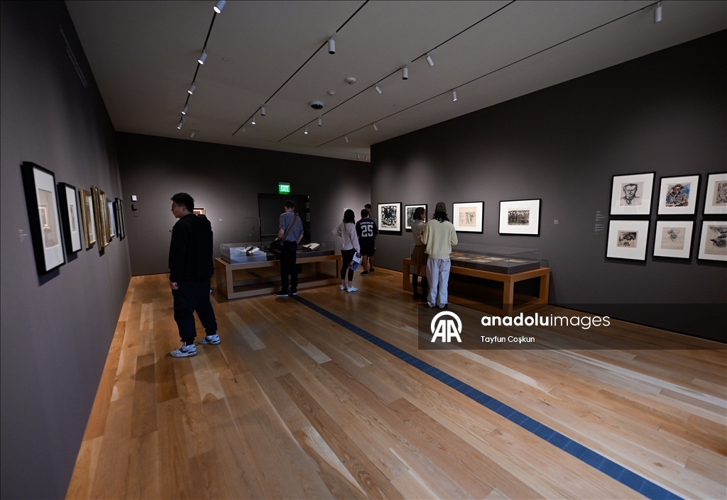 A high-profile art gallery, Los Angeles County Museum of Art