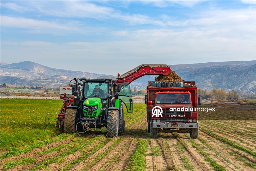 Li Nallihanê rakirina gizêran