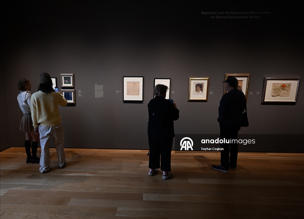 A high-profile art gallery, Los Angeles County Museum of Art