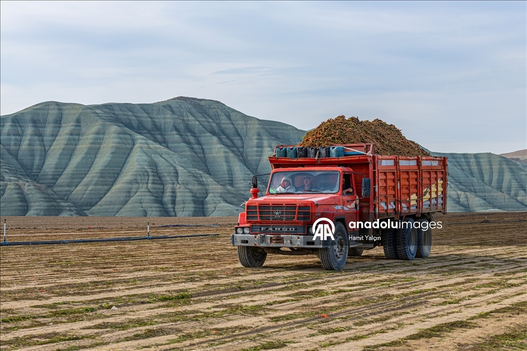 Li Nallihanê rakirina gizêran