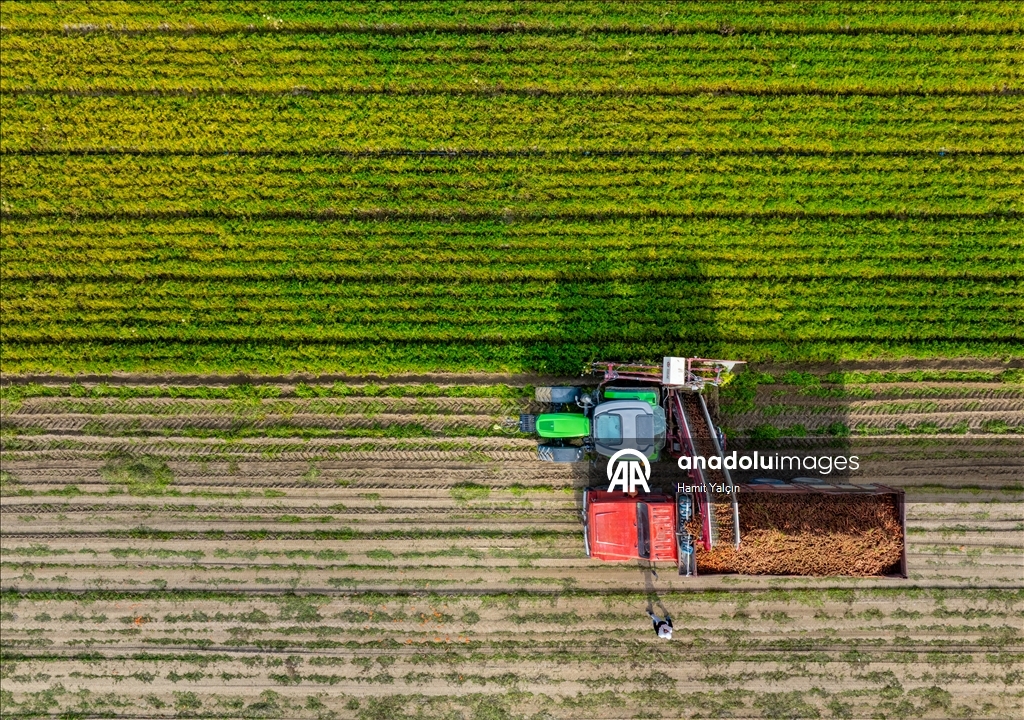 Li Nallihanê rakirina gizêran