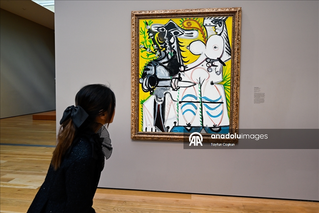 A high-profile art gallery, Los Angeles County Museum of Art