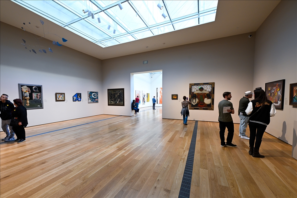 Los Angeles County Sanat Müzesi ziyaretçilerin ilgisini çekiyor