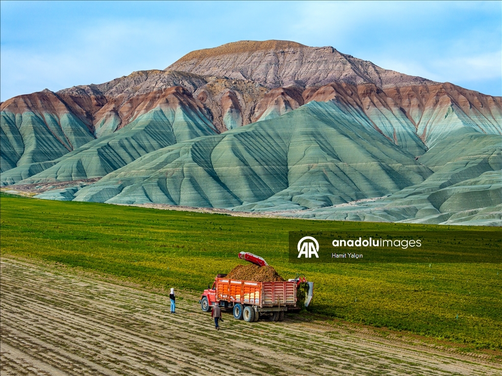 Li Nallihanê rakirina gizêran