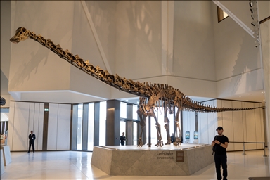 متحف التاريخ الطبيعي بأبوظبي.. معروضات نادرة و"رحلة فريدة" عبر الزمن
