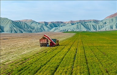 Li Nallihanê rakirina gizêran