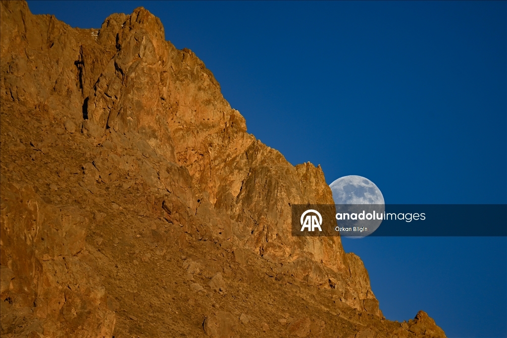 Li Wanê bizinkoviyên tepa çiyê bi heyva çardeşevî ra hatin kişandin