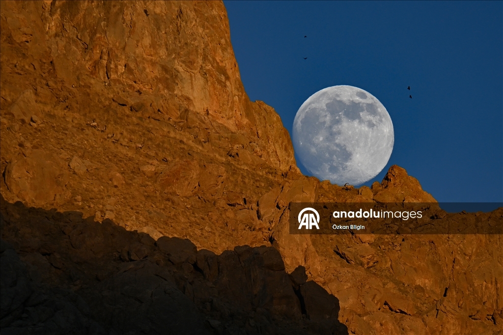 Li Wanê bizinkoviyên tepa çiyê bi heyva çardeşevî ra hatin kişandin