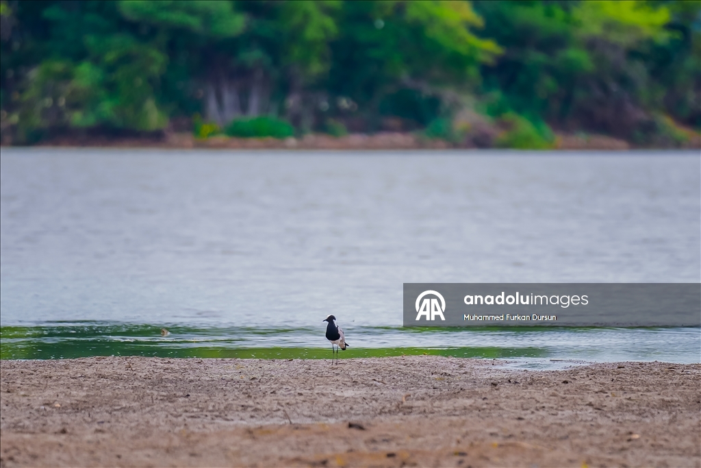 Afrika’nın güçlü demokrasi ve doğa mirasına sahip ülke: Botsvana