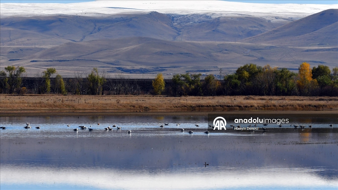 Kars'ta dağlar kar yağışıyla beyaza büründü