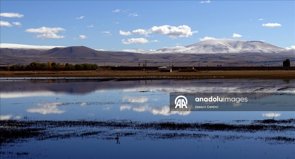 Kars'ta dağlar kar yağışıyla beyaza büründü