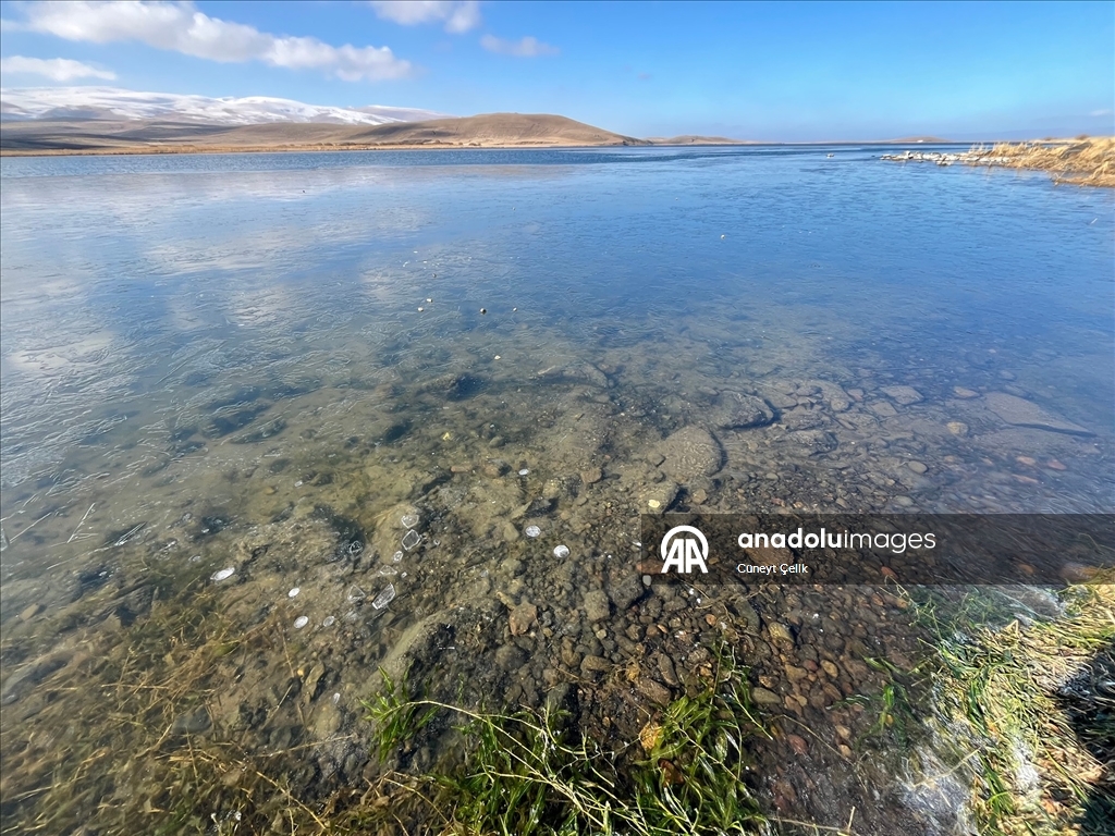 Çıldır Gölü'nün yüzeyi donmaya başladı