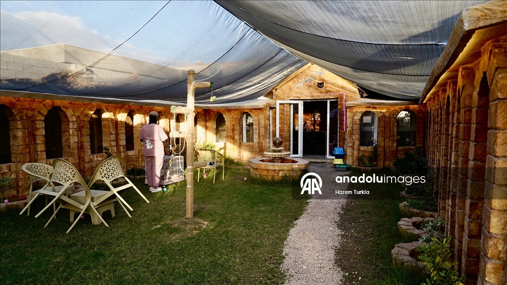 Libya'nın ilk 5 yıldızlı kedi oteli, kedilere lüks hizmet sunuyor