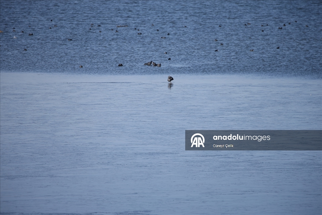 Çıldır Gölü'nün yüzeyi donmaya başladı