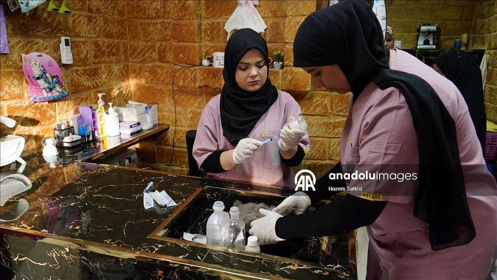 Libya'nın ilk 5 yıldızlı kedi oteli, kedilere lüks hizmet sunuyor