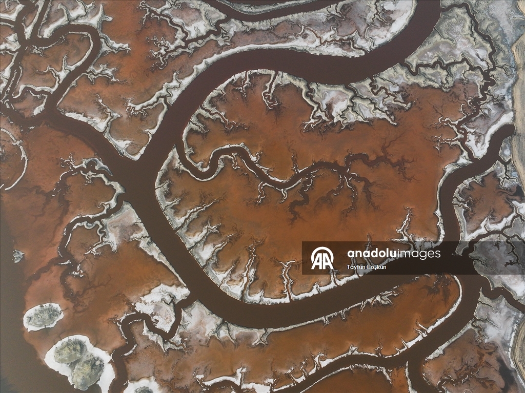 San Francisco Körfezi'ndeki Alviso Marina Bölge Parkı'nın tuz göletleri ziyaretçileri cezbediyor