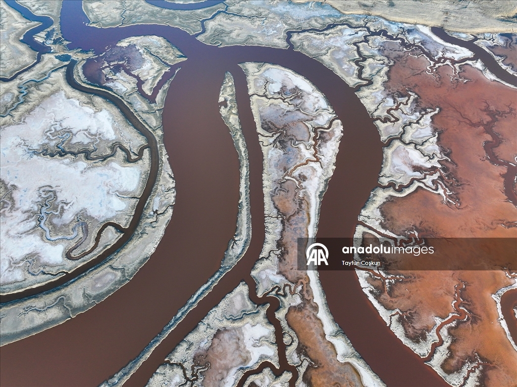 San Francisco Körfezi'ndeki Alviso Marina Bölge Parkı'nın tuz göletleri ziyaretçileri cezbediyor