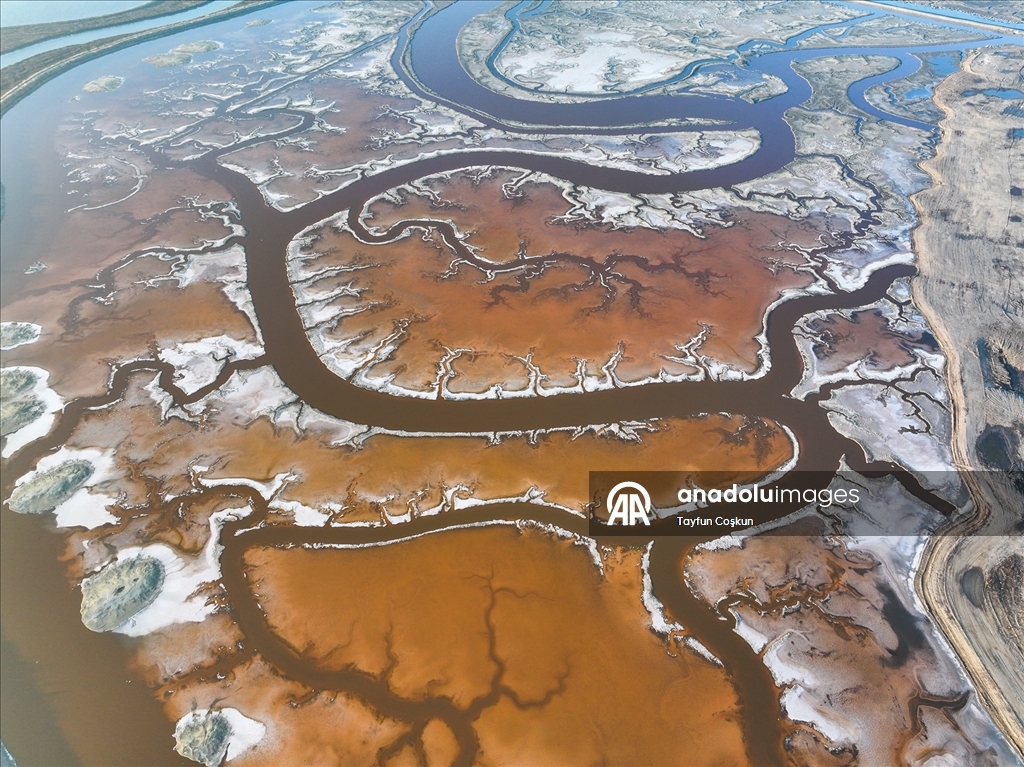 San Francisco Körfezi'ndeki Alviso Marina Bölge Parkı'nın tuz göletleri ziyaretçileri cezbediyor