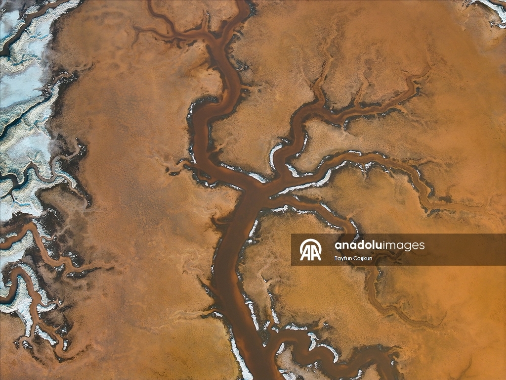 San Francisco Körfezi'ndeki Alviso Marina Bölge Parkı'nın tuz göletleri ziyaretçileri cezbediyor