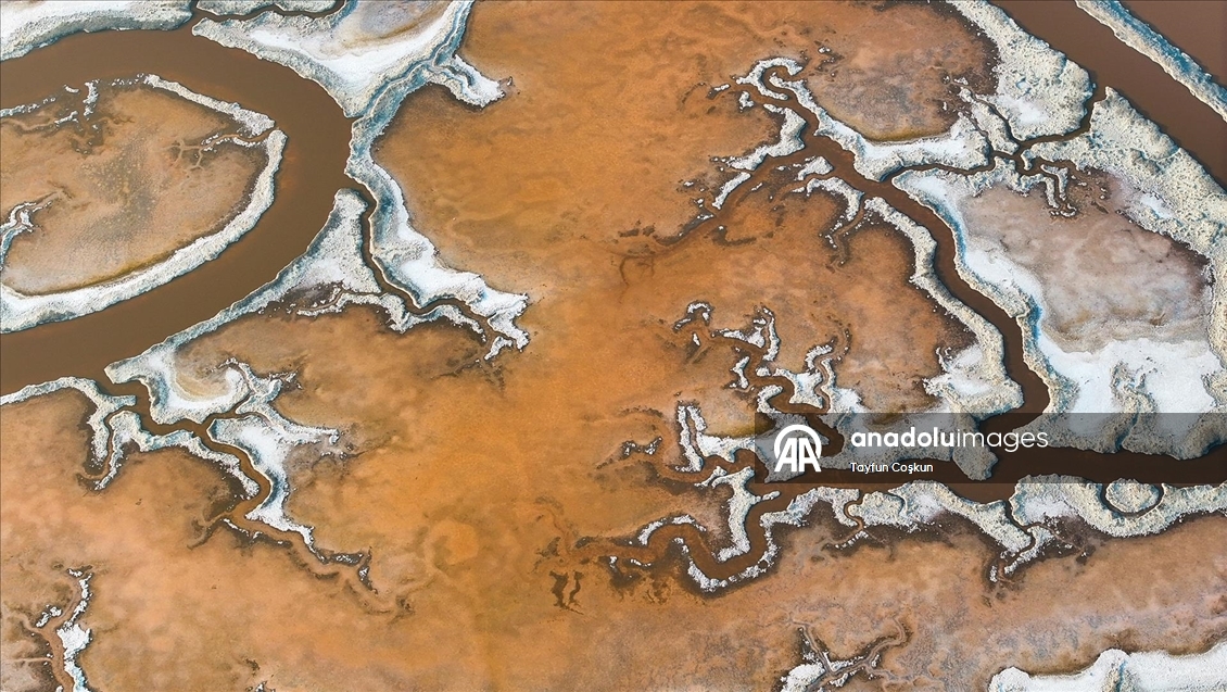 San Francisco Körfezi'ndeki Alviso Marina Bölge Parkı'nın tuz göletleri ziyaretçileri cezbediyor