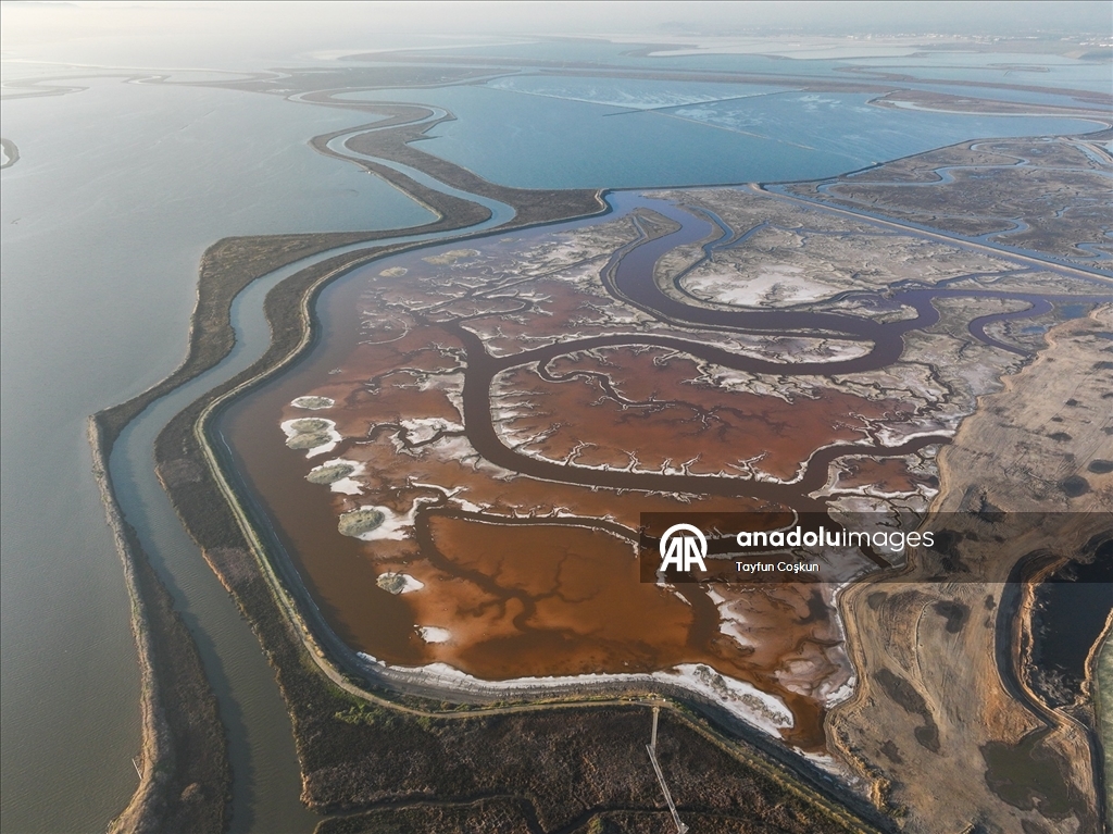 San Francisco Körfezi'ndeki Alviso Marina Bölge Parkı'nın tuz göletleri ziyaretçileri cezbediyor